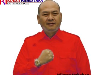 Nikson Nababan Layak Cagubsu 2024, Segudang Penghargaan