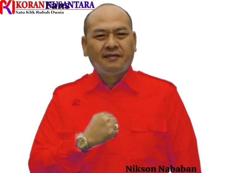 Nikson Nababan Layak Cagubsu 2024, Segudang Penghargaan