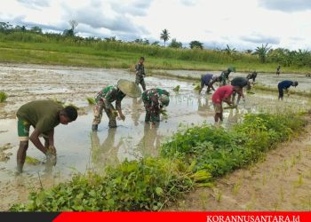 Satgas Yonif 125/SMB Ajak Masyarakat Bertani