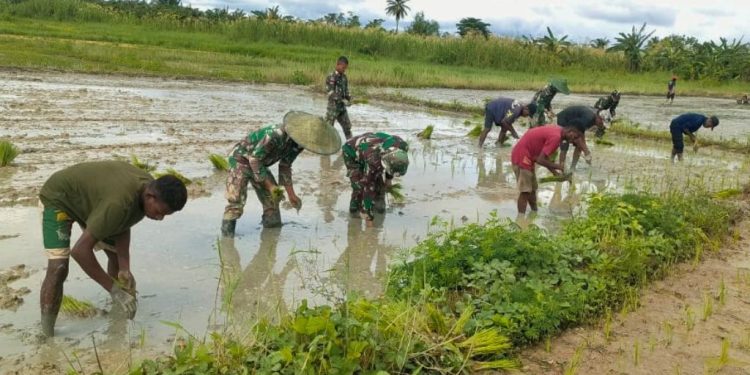 Satgas Yonif 125/SMB Ajak Masyarakat Bertani
