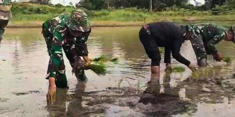 Satgas Yonif 125/SMB Ajak Masyarakat Bertani
