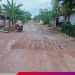 Warga Desa Pujorahayu Minta Dinas PUPR Segera Perbaikan Jalan