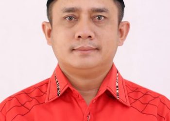 PDIP Simalungun Buka Penjaringan Cabup, Dua Kader Akan Daftar