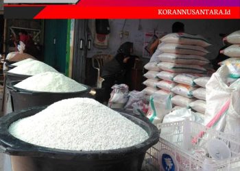 Harga Beras Terus Naik, Tolong Pak Jokowi