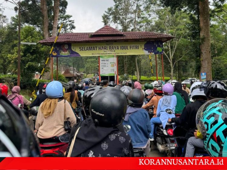 Destinasi Puncak Bogor Paket Lengkap, Kamu Harus Tahu