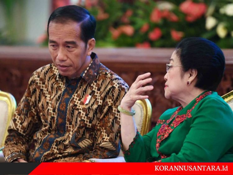 Politisi Muda PDIP: Jokowi Membakar Rumahnya Sendiri