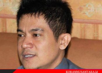 Amicus Curiae Megawati Soekarnoputri, Ini Kata Pengamat