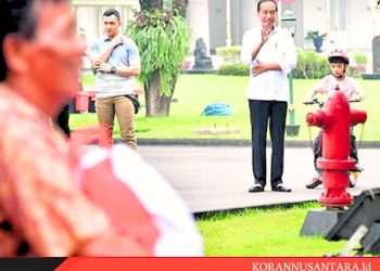 Presiden Jokowi Dikritik PDIP, Istana Itu untuk Internal Parpol