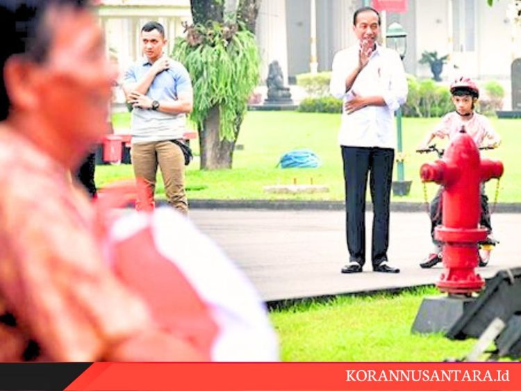 Presiden Jokowi Dikritik PDIP, Istana Itu untuk Internal Parpol
