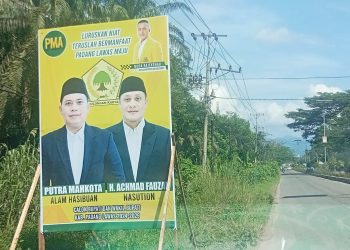 Baliho Seorang ASN Yang Mengaku Sebagai Calon Wakil Bupati Berlogokan Partai, Resahkan Warga Padang Lawas, Ini Kata Bawaslu Padang Lawas