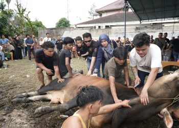 Rayakan Idul Adha 1445 H, GRIB Jaya Bagikan Daging Kurban