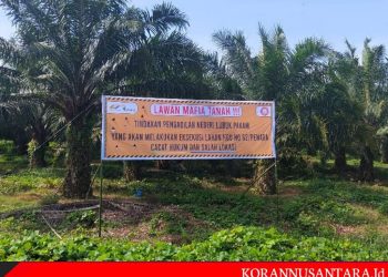 Asset Negara Kebun Penara PTPN II Beralih Ke Mafia Tanah ?