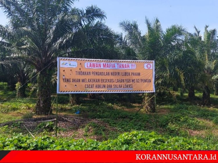 Asset Negara Kebun Penara PTPN II Beralih Ke Mafia Tanah ?