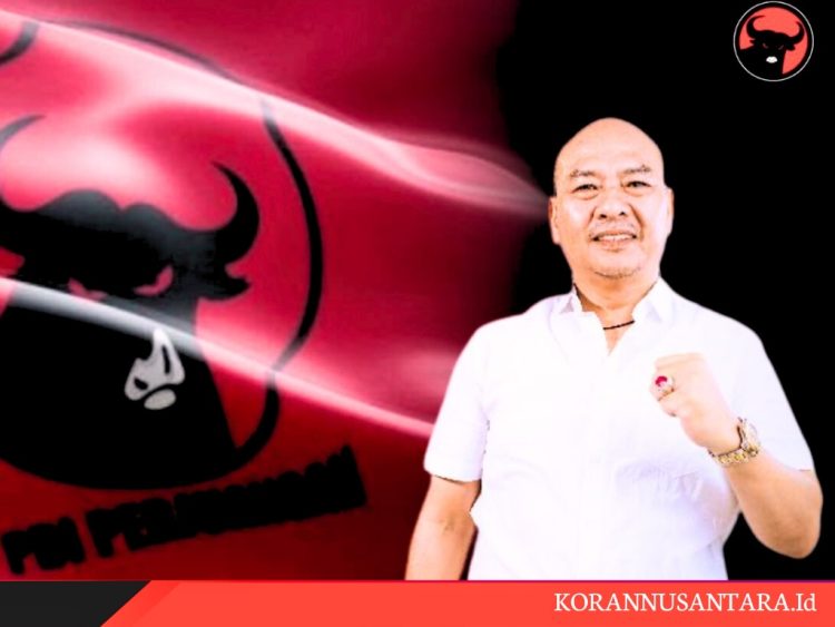 Nikson Nababan Siap Maju di Pilgub Sumut, Formasu Jakarta: Kader Potensial dan Dukung PDIP Usung Kader Sendiri