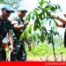 Panglima TNI Bagikan Sembako ke Warga dan Tanam Pohon di PMPP Bogor