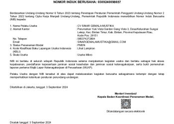NIB usaha izin identitas