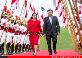 Ketua DPR RI ajak Anggota P20 akhiri Perang di Palestina