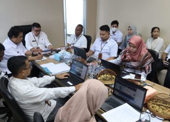 Kemendagri Ajak Daerah Terapkan LPePD Tingkatkan Layanan Publik BSKDN