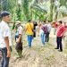 Kelapa Sawit Petani Dijarah , Percuma Lapor Polisi ini Palas Bung