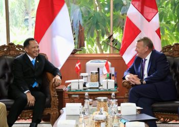 Kemendagri Jalin Kerja Sama dengan Denmark Perkuat Pemadam Kebakaran