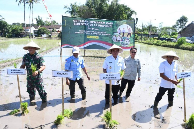 Kasdim 0822 Hadiri Gerakan Tanam Padi Serentak 14 Provinsi bersama Presiden R.I Secara Vicon