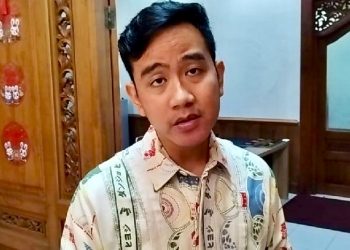 Pemakzulan Wakil Presiden, Apakah Mungkin