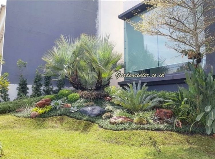 Inspirasi Desain Taman Depan Rumah yang Estetik dan Fungsional