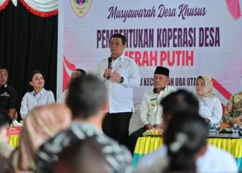 Wamendes Riza Patria: Presiden Prabowo Ingin Usaha Rakyat Maju Lewat Kopdes