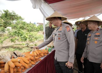 Pemerhati Sosial Puji Keberhasilan Kapolda Irjen Suyudi Wujudkan Ketahanan Pangan di Banten: Sesuai dengan Asta Cita Presiden