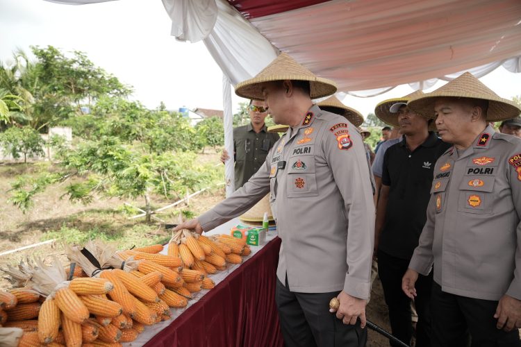Pemerhati Sosial Puji Keberhasilan Kapolda Irjen Suyudi Wujudkan Ketahanan Pangan di Banten: Sesuai dengan Asta Cita Presiden