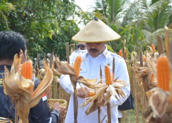 Perkuat Ketahanan Pangan, Pemerhati Sosial Puji Kinerja Menteri Imipas Komjen Agus: Visioner, Selaras dengan Asta Cita Presiden
