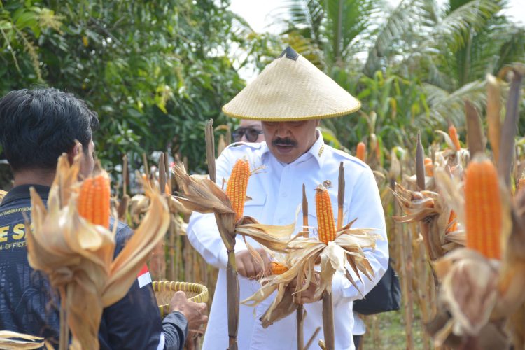 Perkuat Ketahanan Pangan, Pemerhati Sosial Puji Kinerja Menteri Imipas Komjen Agus: Visioner, Selaras dengan Asta Cita Presiden