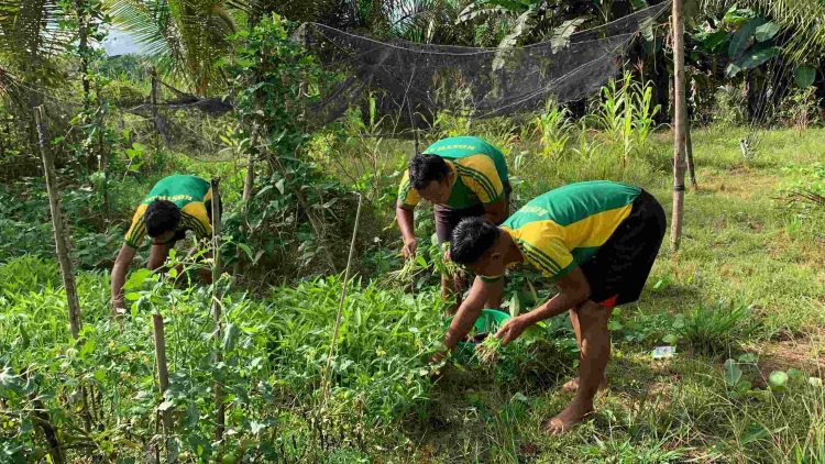 Satgas Pamtas Yonarmed 11 Kostrad Wujudkan Ketahanan Pangan