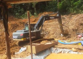 13 Perusahaan Tambang dan Kayu Beroperasi di Nabire, Masyarakat Adat dan Alam Terancam