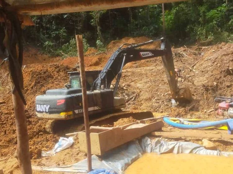 13 Perusahaan Tambang dan Kayu Beroperasi di Nabire, Masyarakat Adat dan Alam Terancam