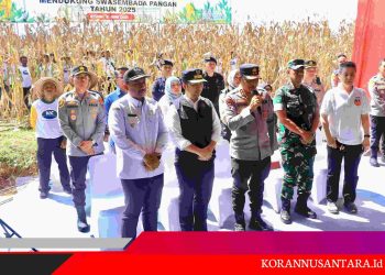 Dukung Swasembada Pangan, Kapolda Jatim Bersama Forkopimda Panen Raya Jagung Kuartal II di Ngawi
