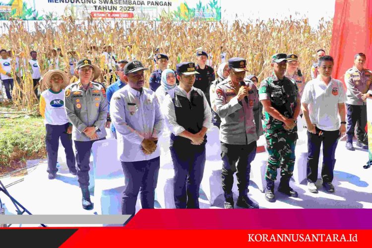 Dukung Swasembada Pangan, Kapolda Jatim Bersama Forkopimda Panen Raya Jagung Kuartal II di Ngawi