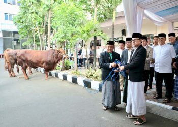 Serahkan Hewan Kurban, Wamendagri Bima Ajak Pegawai Perkuat Kepedulian dan Kebersamaan