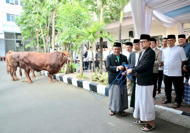 Serahkan Hewan Kurban,  Wamendagri Bima Ajak Pegawai Perkuat Kepedulian dan Kebersamaan