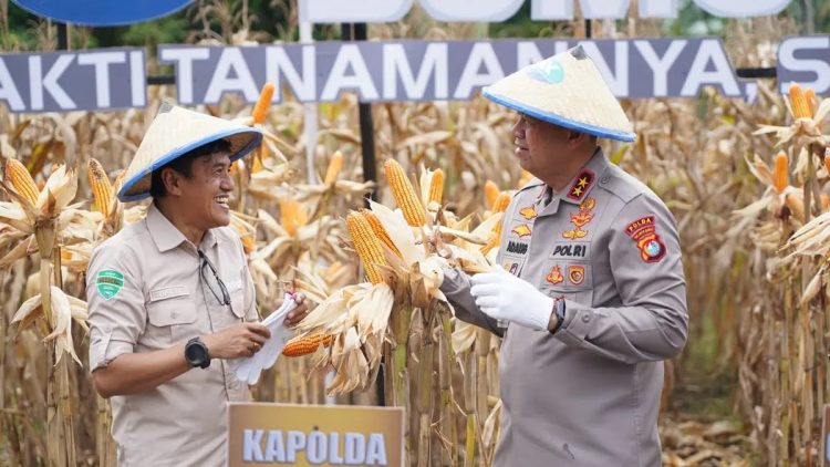 Hari Bhayangkara, Pengamat Puji Kepemimpinan Kapolda Sulbar Irjen Pol Adang: Responsif, Kerja Nyata Polri untuk Masyarakat