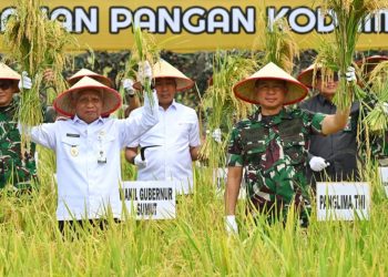 Panen Raya Padi di Sumut, Panglima TNI Agus: Ketahanan Pangan Komponen Utama Pertahanan Negara