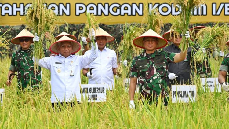 Panen Raya Padi di Sumut, Panglima TNI Agus: Ketahanan Pangan Komponen Utama Pertahanan Negara