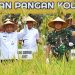 Panen Raya Padi di Sumut, Panglima TNI Agus: Ketahanan Pangan Komponen Utama Pertahanan Negara