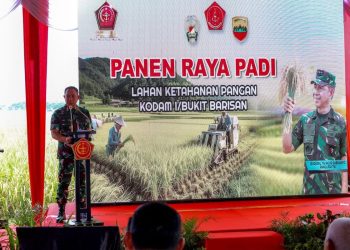 Wujudkan Asta Cita Presiden Swasembada Pangan, Panglima TNI Panen Raya Padi di Sumut