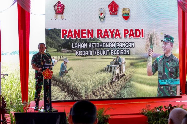 Wujudkan Asta Cita Presiden Swasembada Pangan, Panglima TNI Panen Raya Padi di Sumut