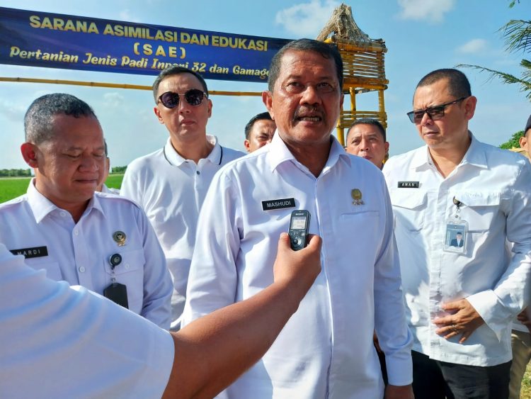 Dukung Asta Cita Presiden dan Menteri, Ditjenpas Mashudi Berdayakan Warga Binaan dalam Ketahanan Pangan hingga BLK