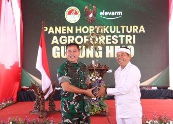 Kasad: Agroforestry Dorong Kesejahteraan Petani dan Ketahanan Pangan Nasional