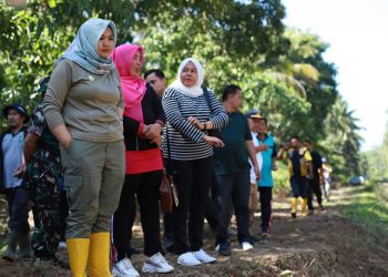 Wabup Atika : Pemkab Lakukan Pengerukan Irigasi di Hutabargot Masih Bersifat Sementara, Solusi Komprehensif Segera Dilakukan