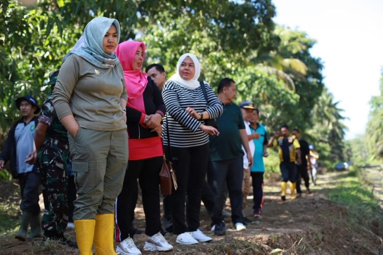 Wabup Atika : Pemkab Lakukan Pengerukan Irigasi di Hutabargot Masih Bersifat Sementara, Solusi Komprehensif Segera Dilakukan