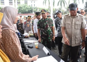 Sinergi TNI-Bulog Perkuat Ketahanan Pangan Nasional dan Kendalikan Harga Beras
